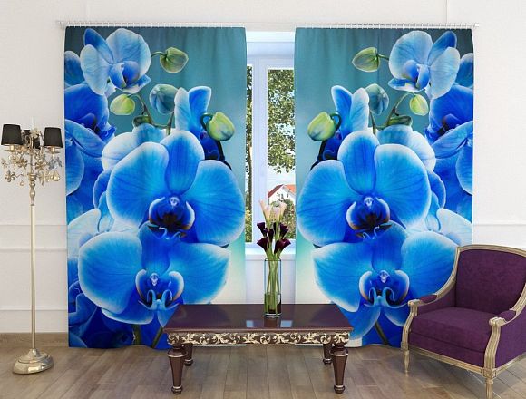Фотошторы Голубая орхидея